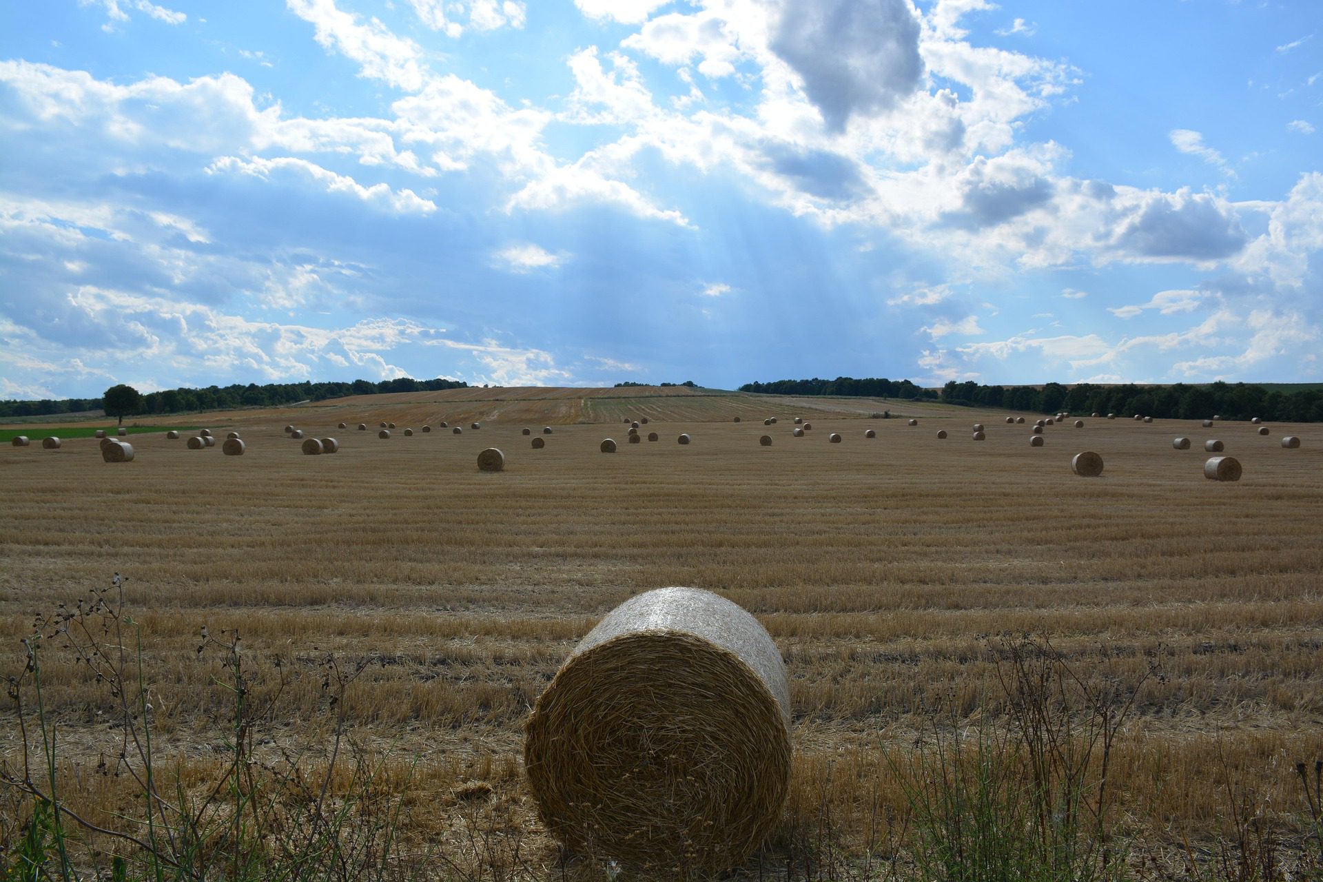 BEKKARAT TECH - Data-driven automation and analytics for modern agriculture Enhancing Farm Management with BEKKARAT TECH